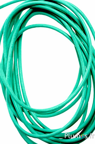 Lacet en cuir - épaisseur 2 mm - menthe